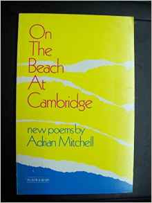 On the Beach at Cambridge